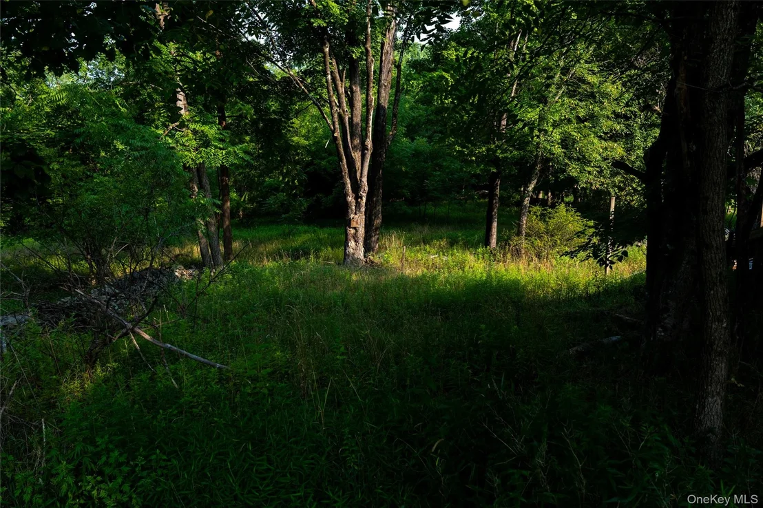 Photo of 55 Hill Road