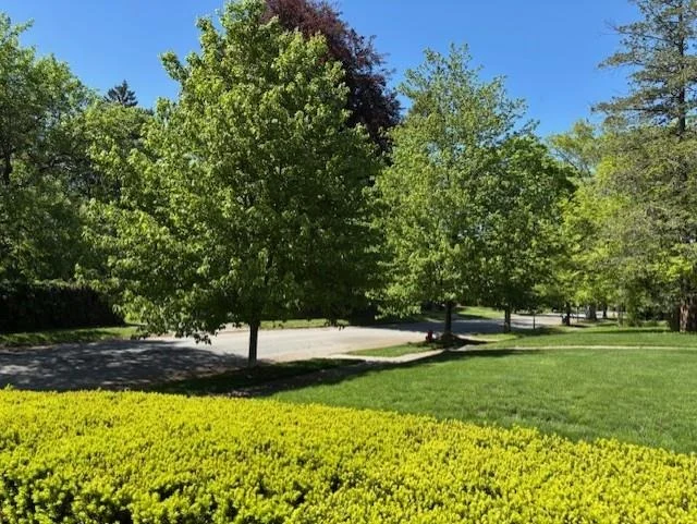 Photo of 37 Garfield Place
