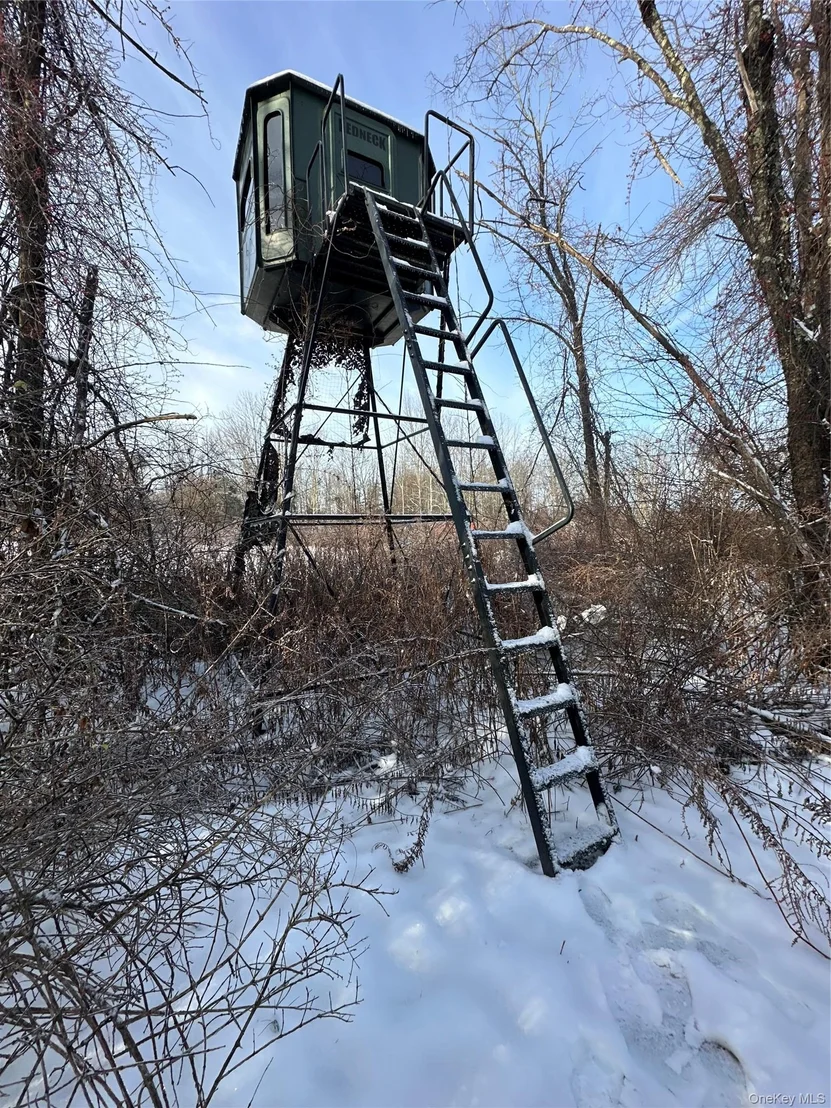Photo of 41 Diddell Road