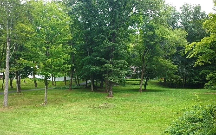Photo of 65 Cooper Drive