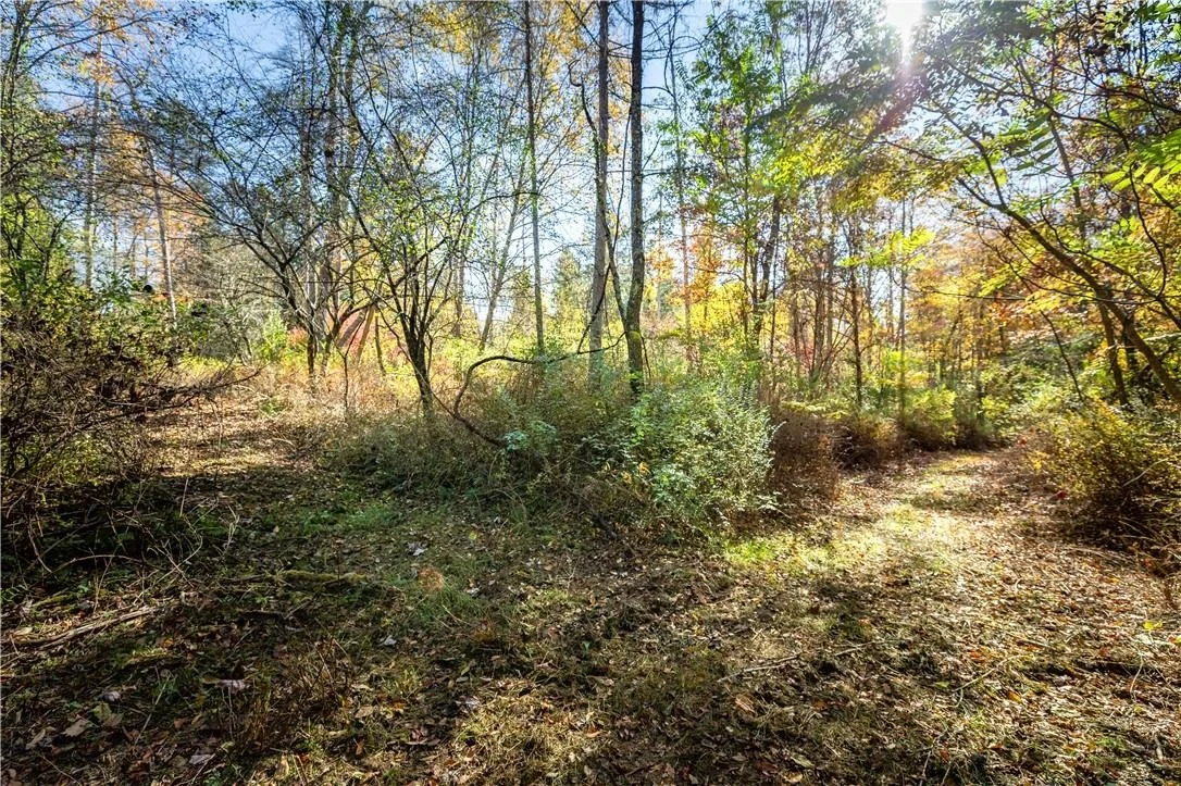 Photo of Lot #2 Dodge Road