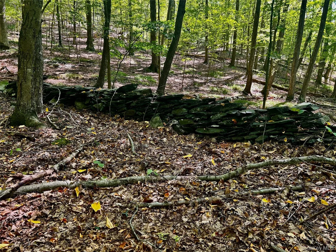 Photo of Westfall