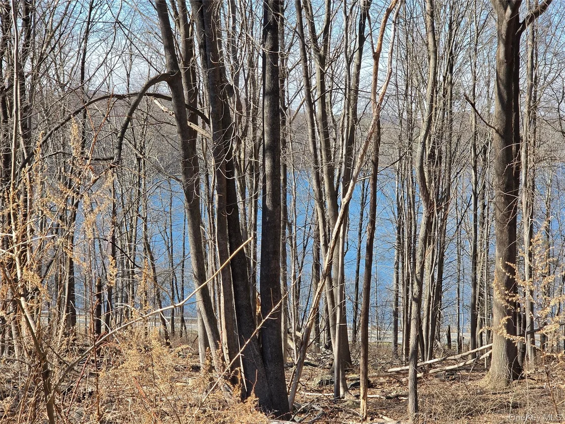 Photo of 6 Willow Road