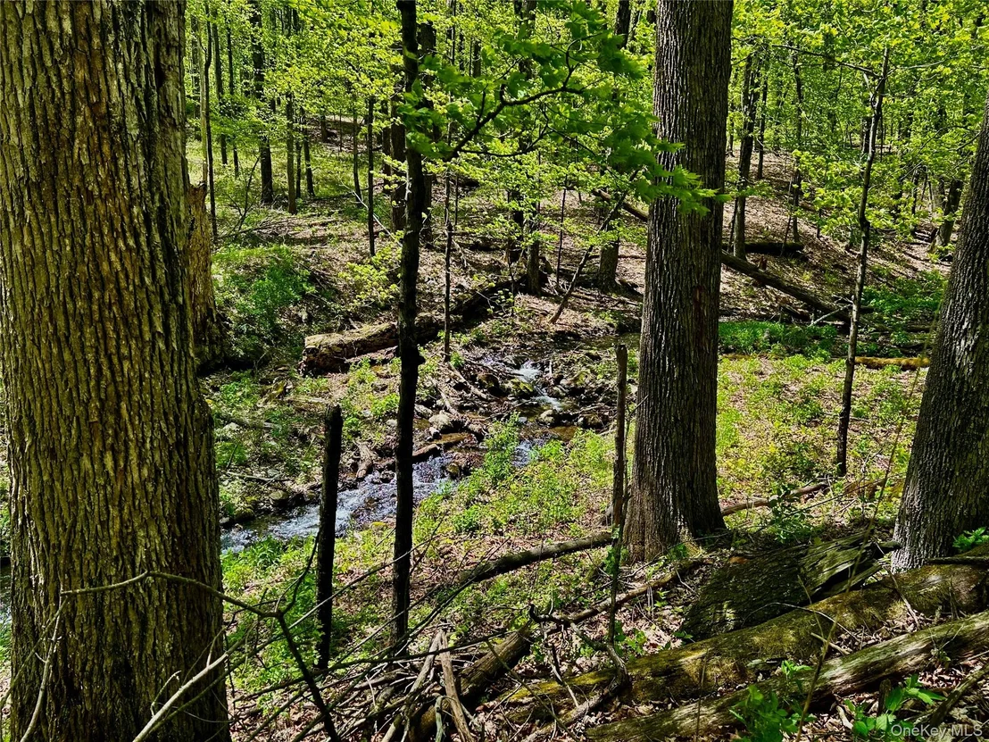 Photo of 4 West Hill Road