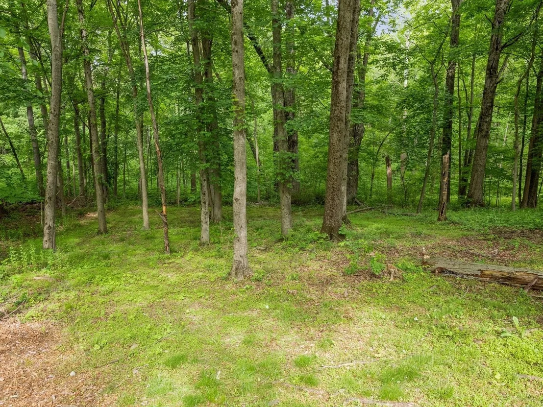 Photo of 29 Sachson Place