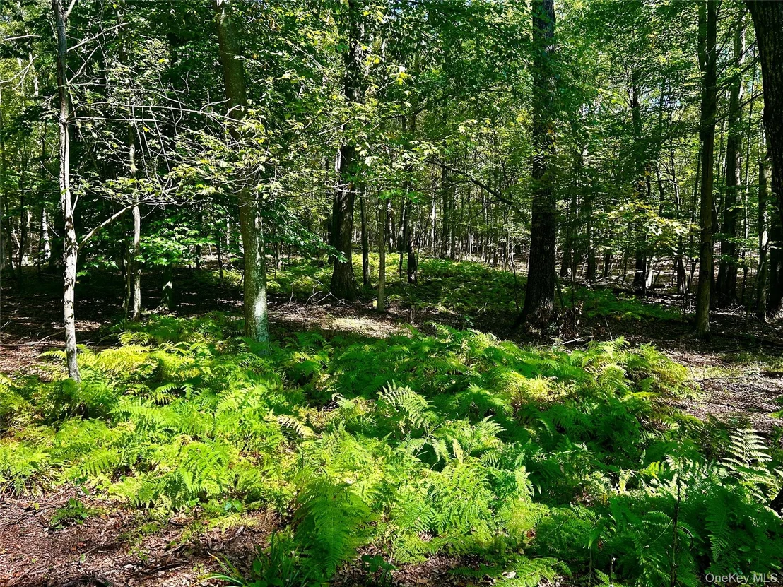 Photo of Westfall