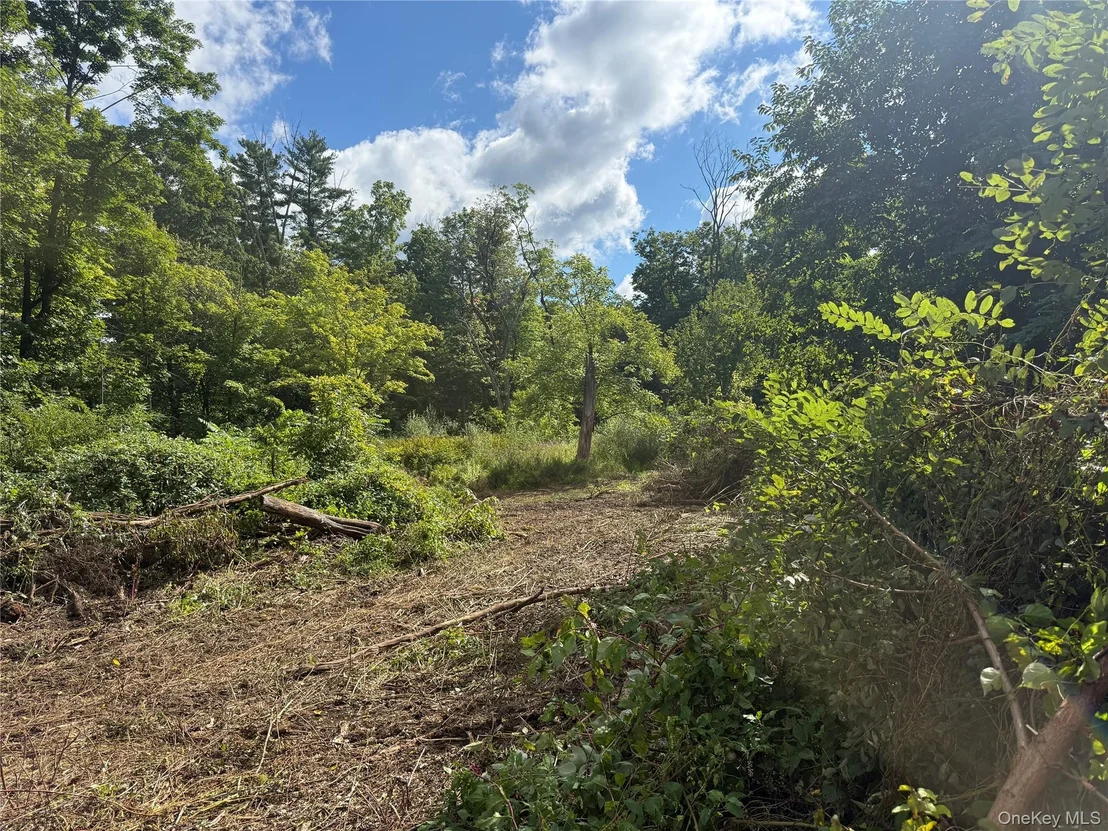 Photo of 26 Fishkill Hook Road