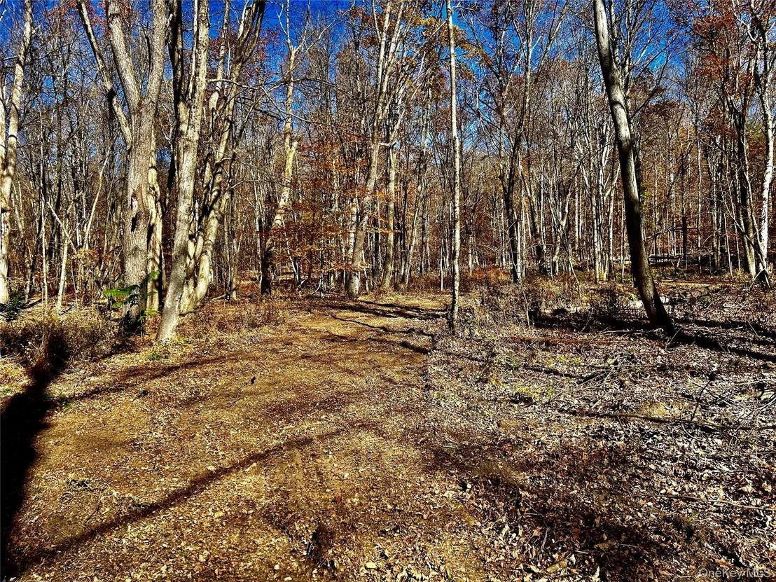 Photo of Westfall