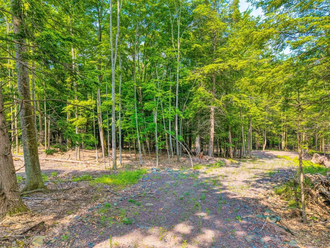 Photo of TBD Boulder Brook lot 13B Road