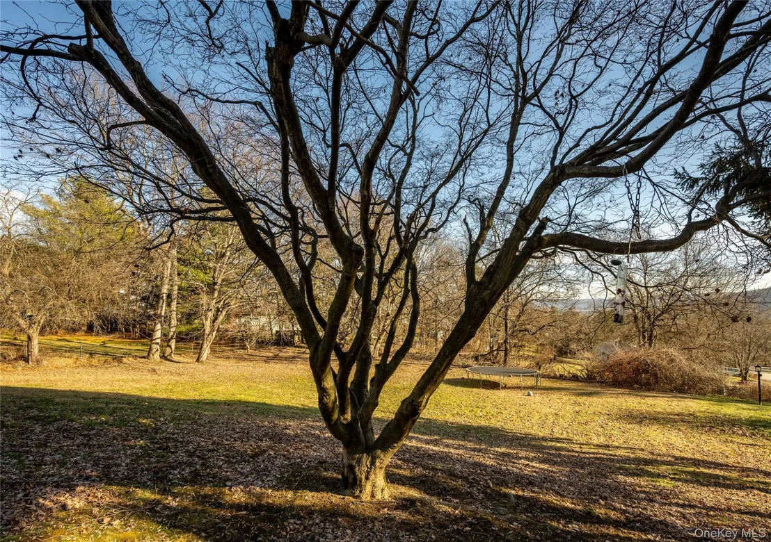 Photo of 76 Derick Drive