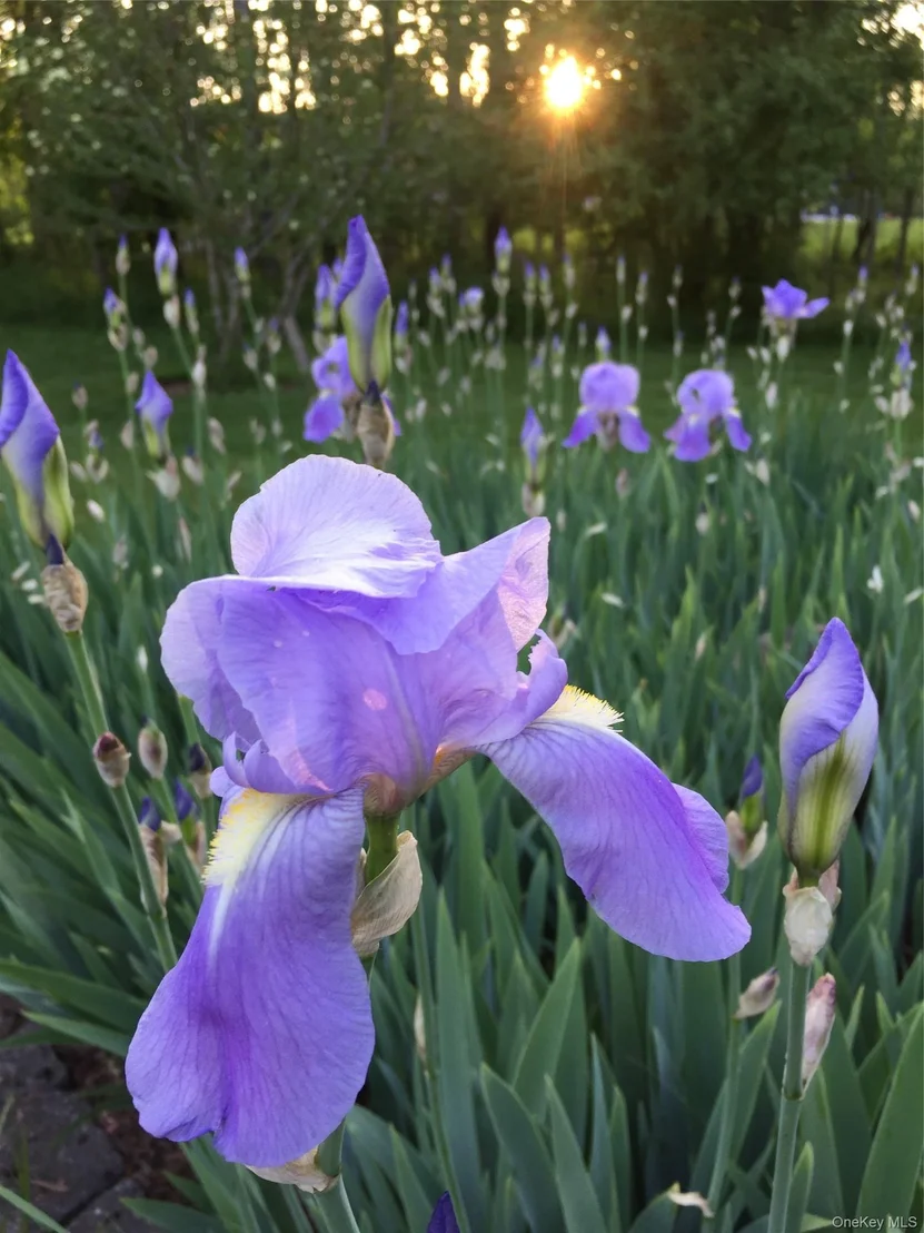 Photo of 30 Murray Road