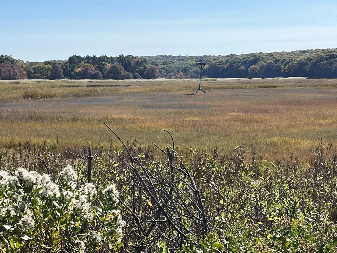 Photo of Lot 9 Creek Road