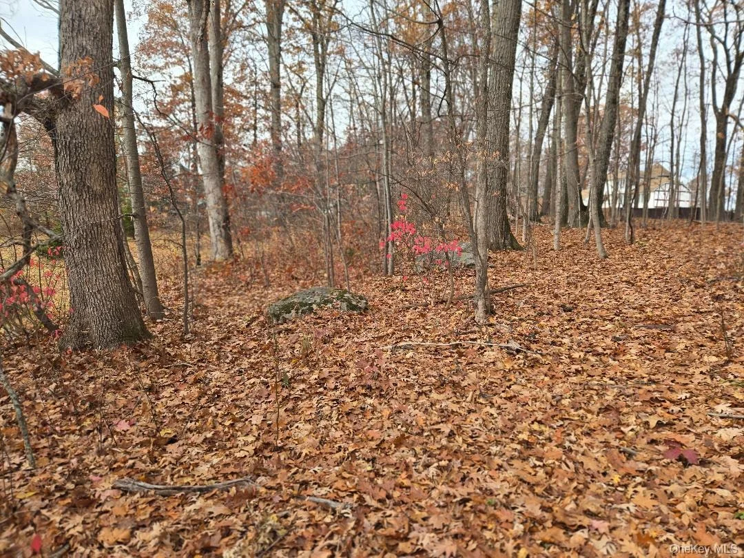 Photo of Lot 16 Newton Rd