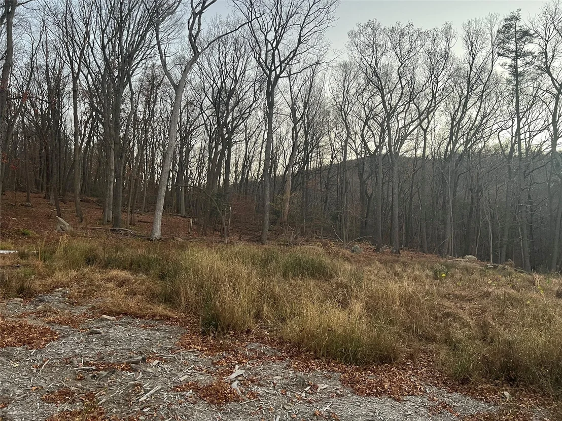 Photo of 58 Old West Point Road
