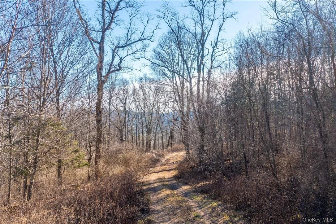 Photo of 1297 Route 343