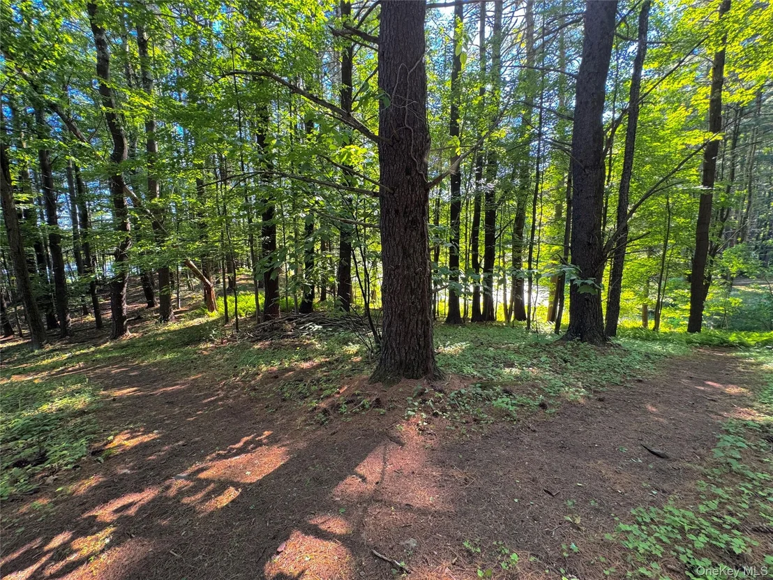 Photo of 177 Webber Road