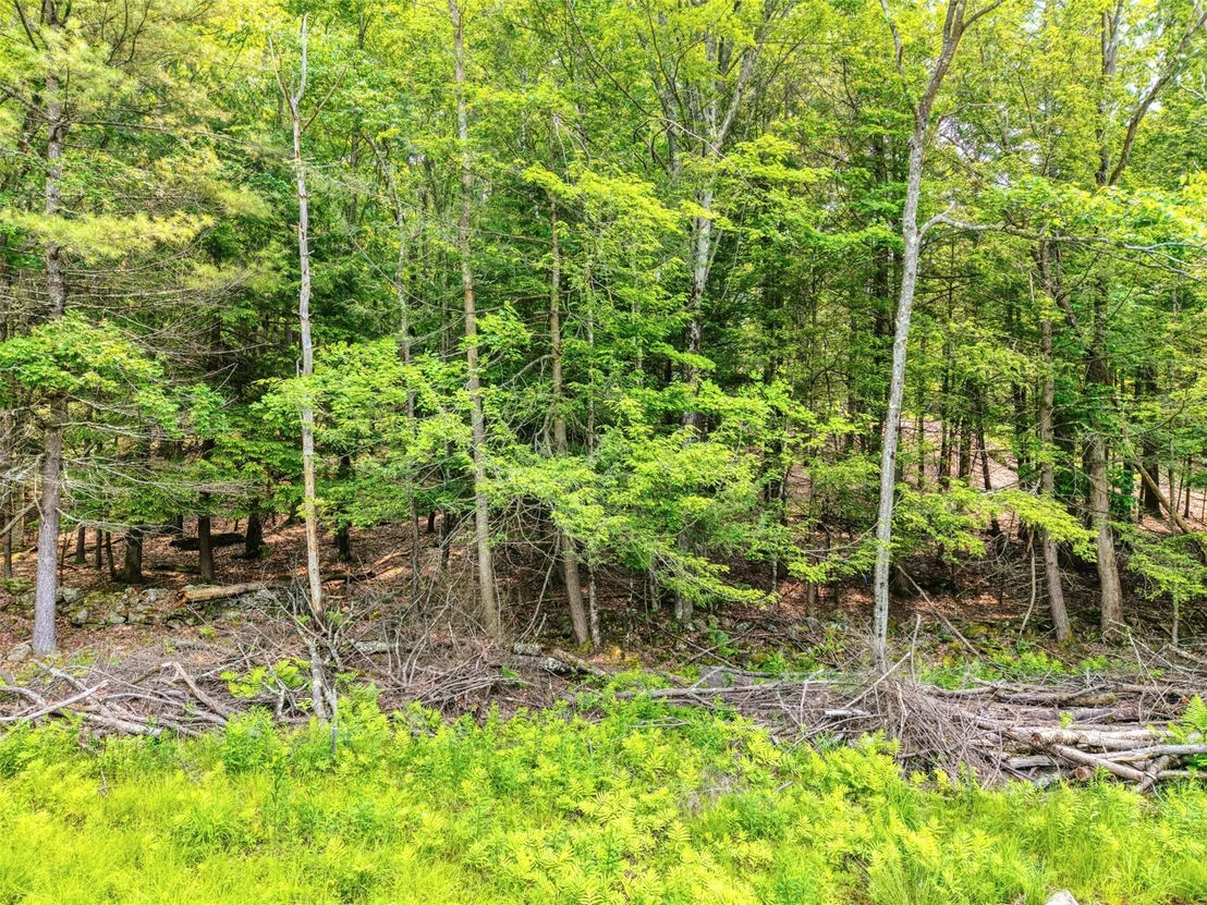 Photo of TBD Boulder Brook lot 13B Road