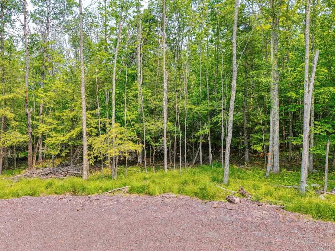 Photo of TBD Boulder Brook lot 13B Road