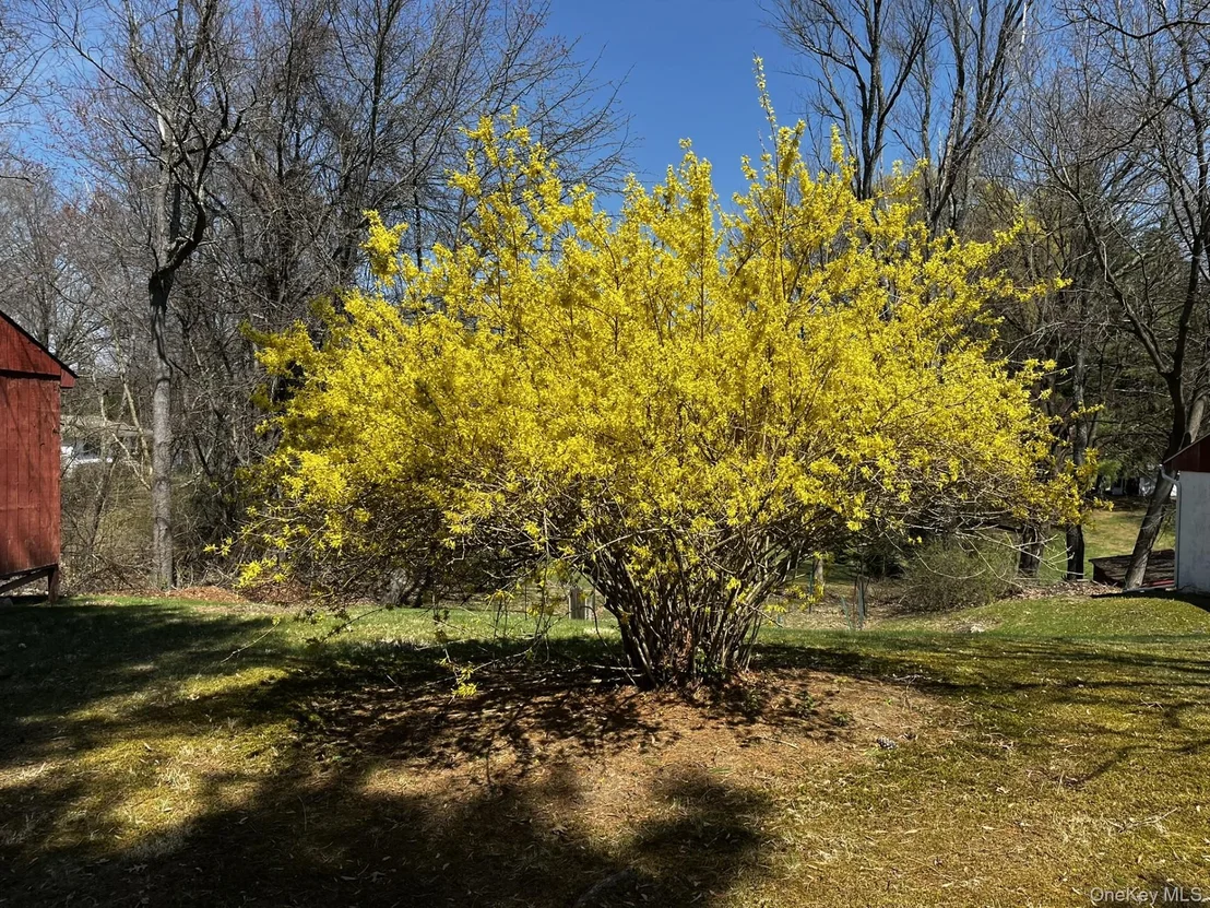 Photo of 35 Hapeman Hill Road