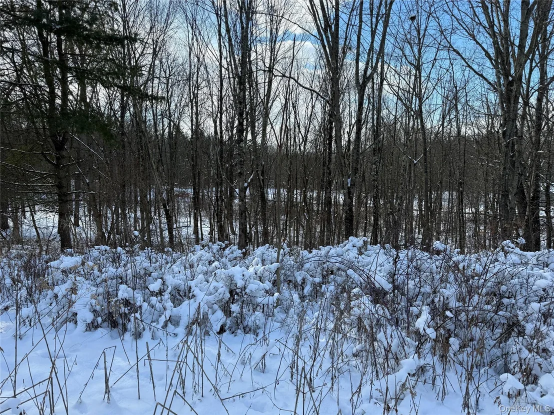 Photo of 266 Pitts Road