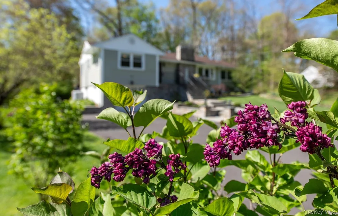 Photo of 12 Pine Hill Drive