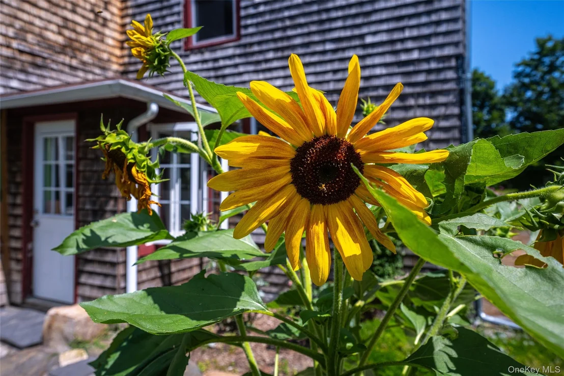 Photo of 35 Benton Road
