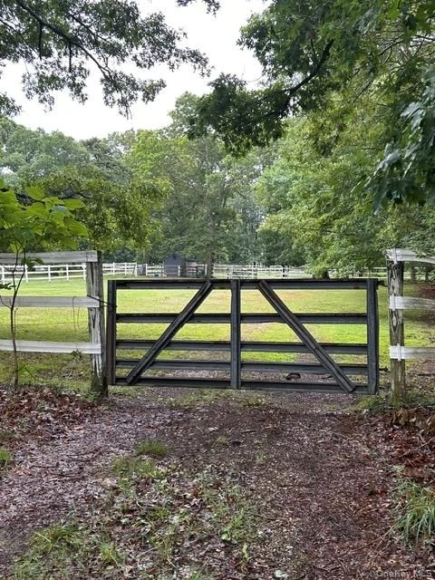 Photo of 4 Conservation Circus