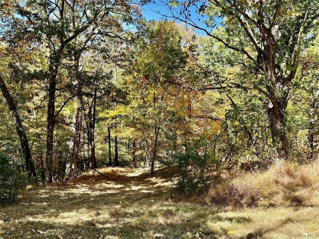 Photo of 45 Cedar Cliff Road