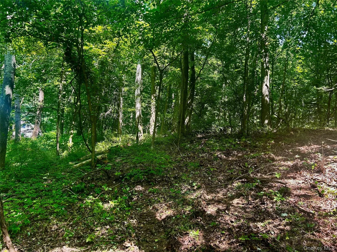 Photo of 109 Deer Run Road