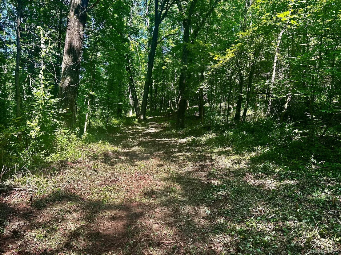 Photo of 109 Deer Run Road