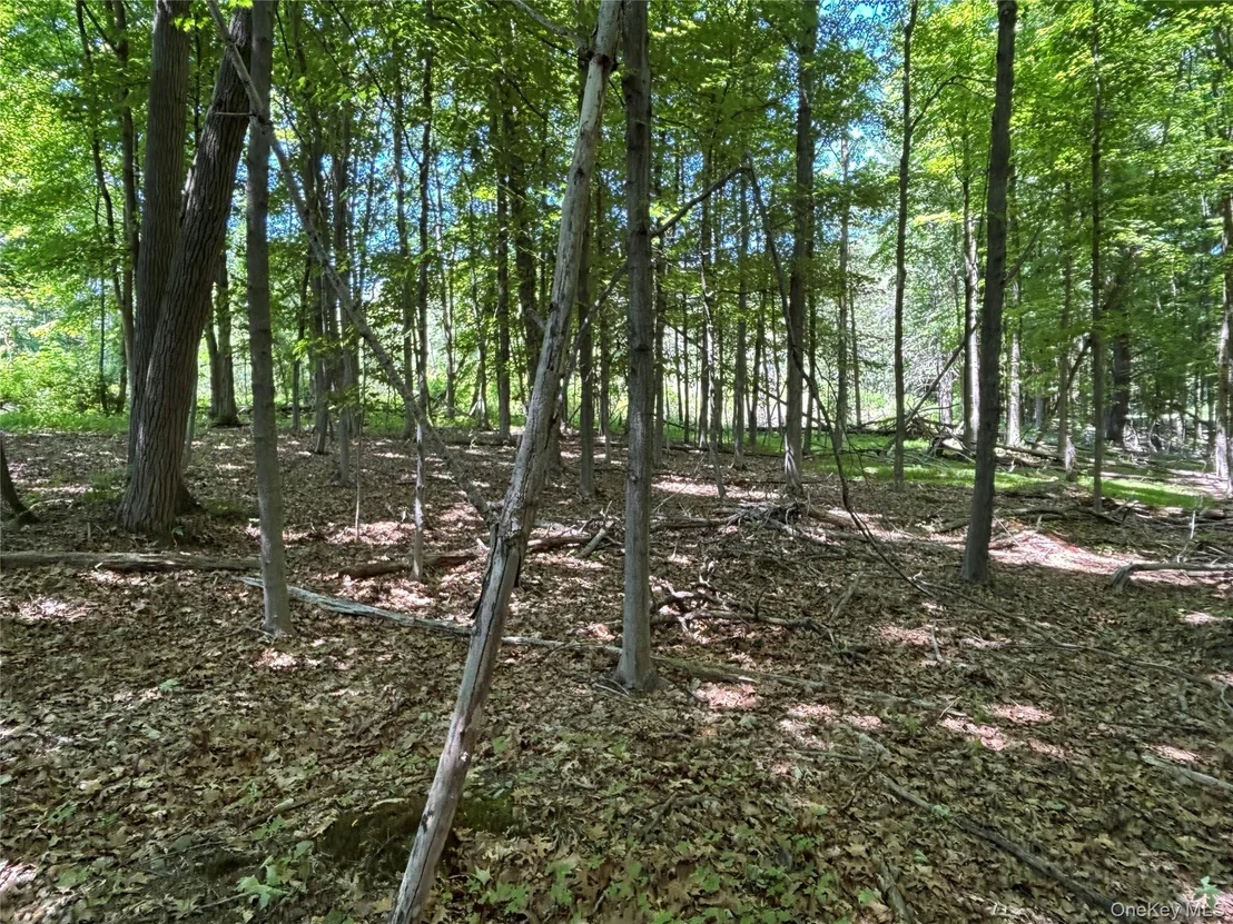 Photo of 0 Smith Road