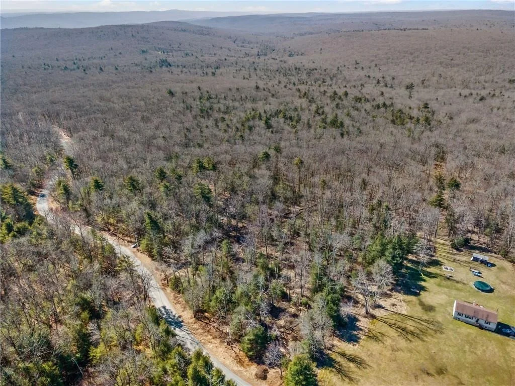 Photo of Pine Kill Road
