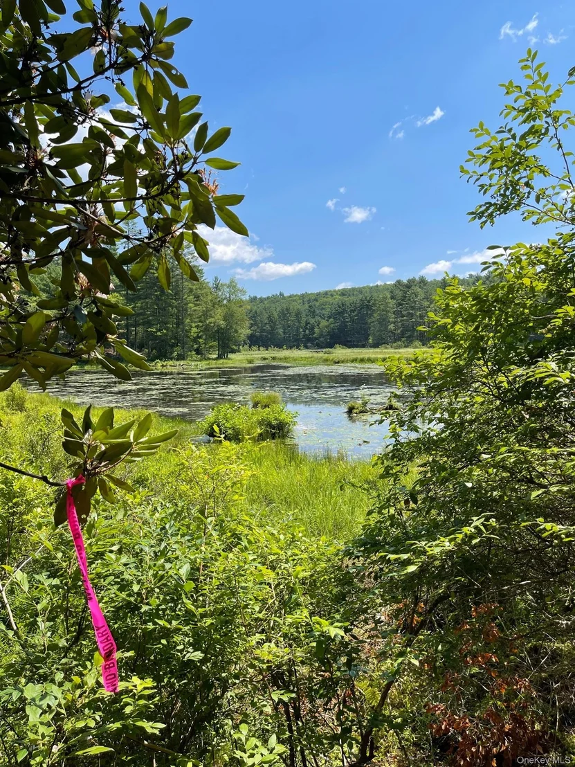 Photo of Lot 92 Mathias Weiden Drive
