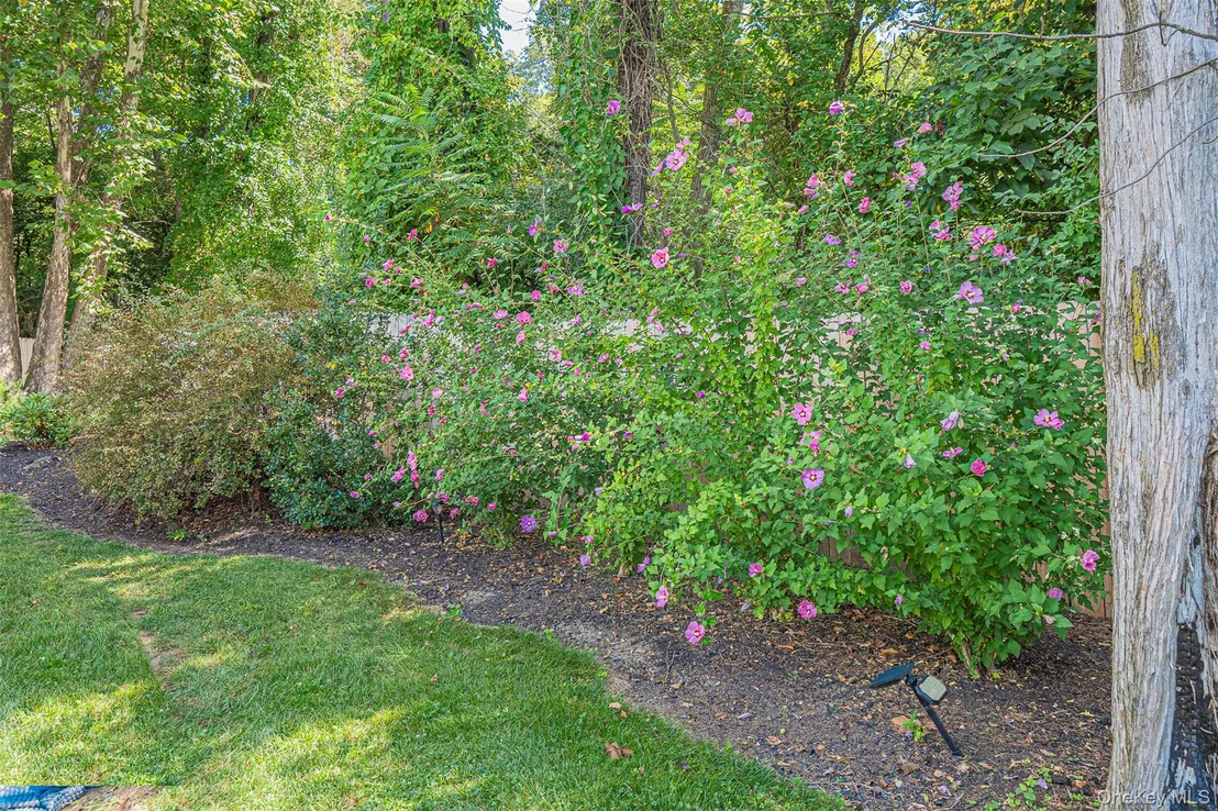 Photo of 41 Wilhelm Drive