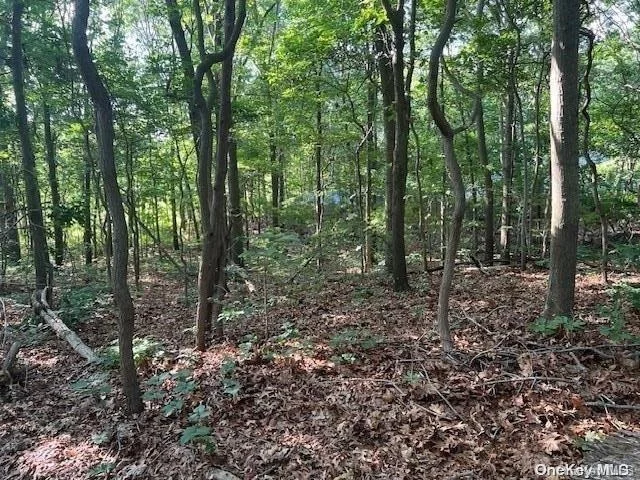 Photo of Avenue C