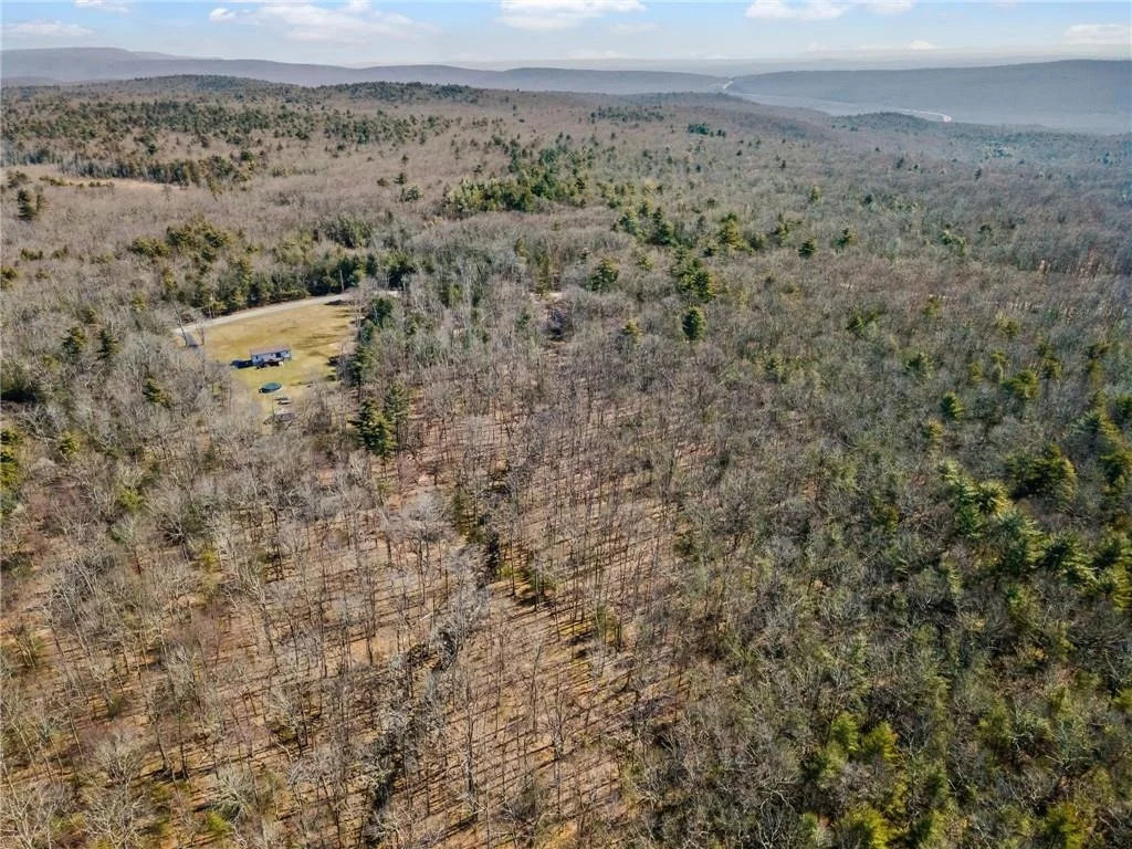 Photo of Pine Kill Road