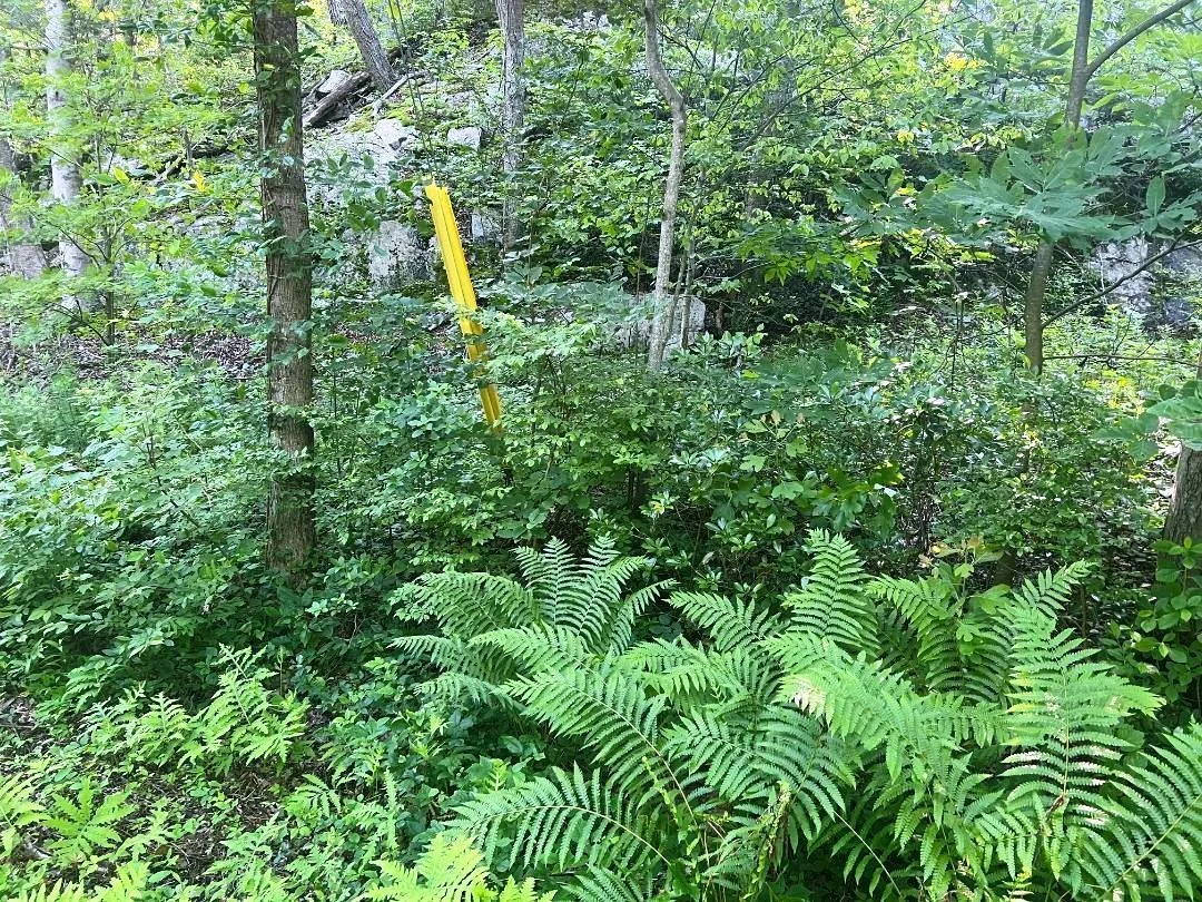 Photo of Lot 14.1 Wiccopee Road