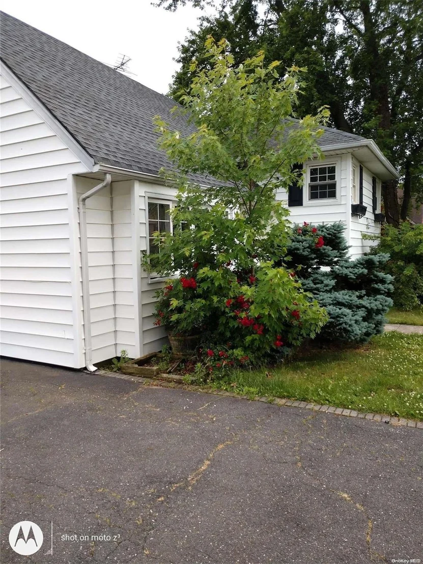 Photo of 377 Rose Street