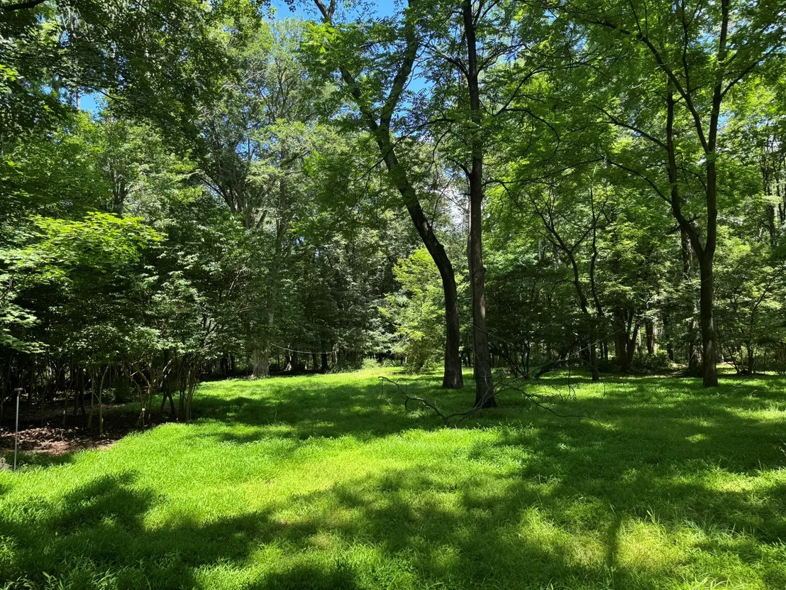 Photo of 268 Cherry Lane