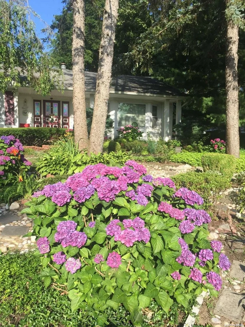 Photo of 46 Dorchester Road