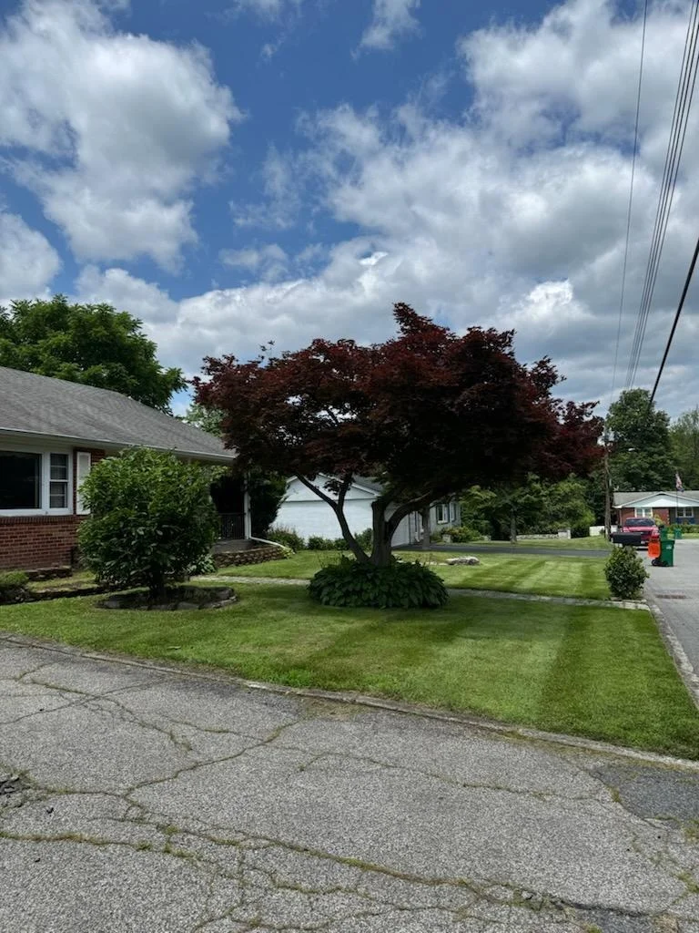 Photo of 6 Siscar Place