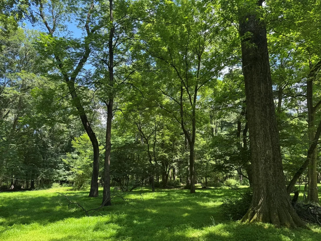 Photo of 268 Cherry Lane