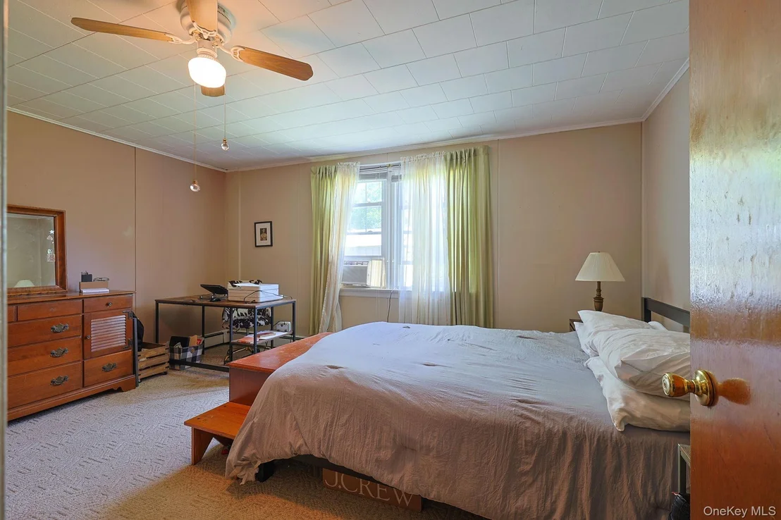 Photo of 37 Algernon Street