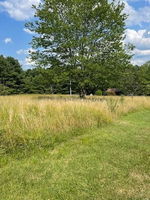 Photo of 88 Eldred Yulan Road