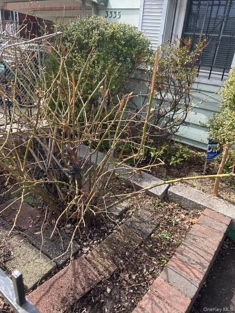 Photo of 3335 hone Avenue