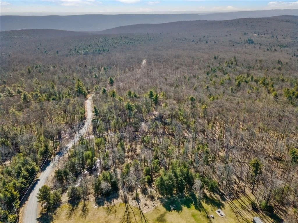 Photo of Pine Kill Road