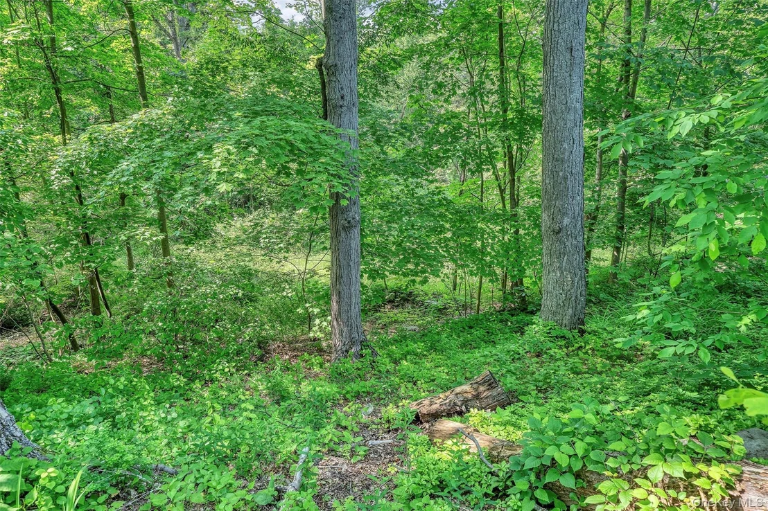 Photo of 14 Silver Trail