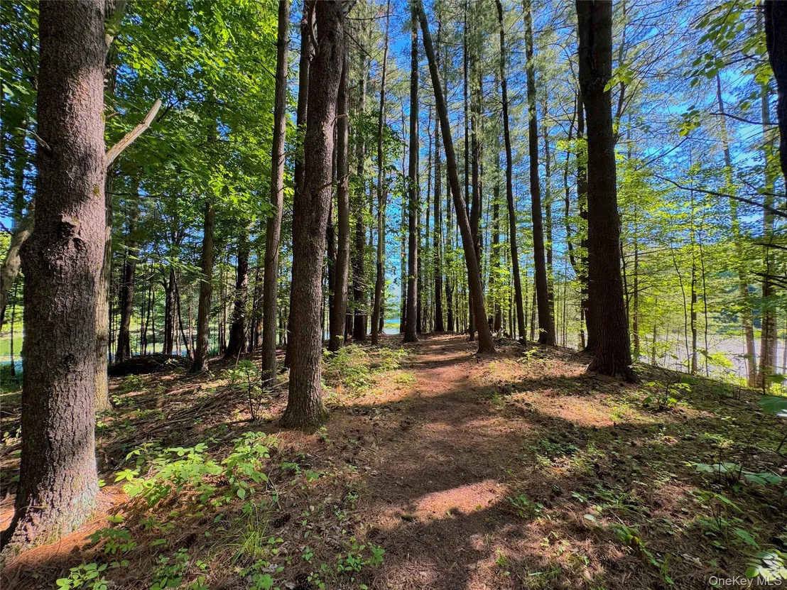 Photo of 177 Webber Road