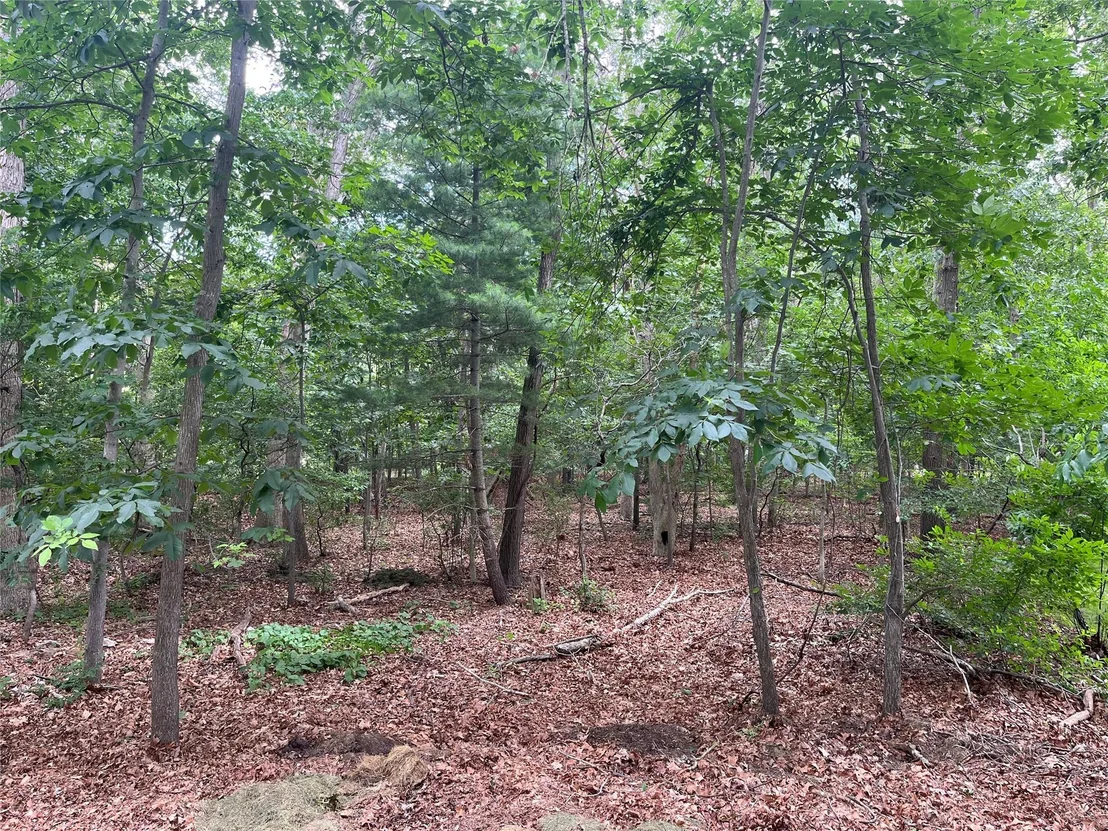 Photo of Lot 28 Scout Trail