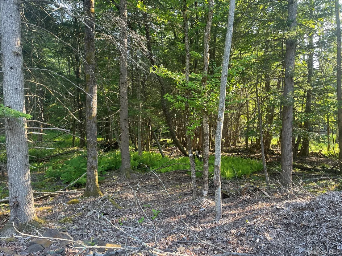 Photo of TBD Lot 8 Boulder Brook Road
